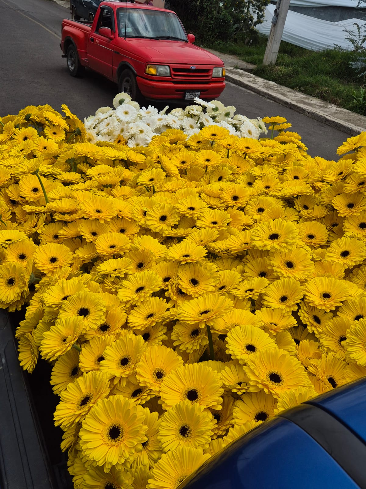 Camioneta con flores en Villa Guerrero