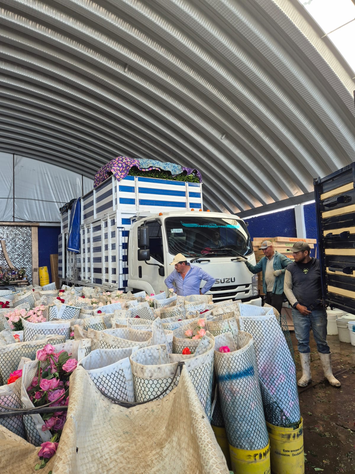 Flores frescas listas para distribuir