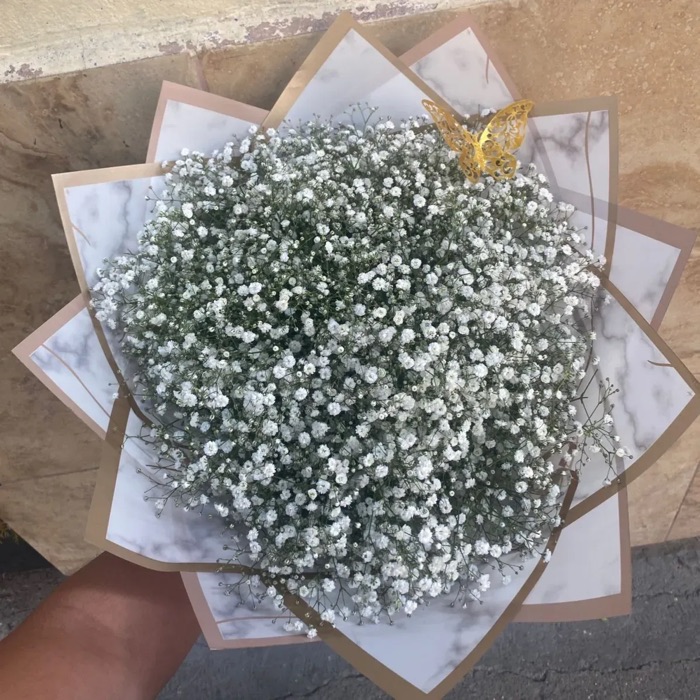 Flores de anahi.floreria, florería en León, Guanajuato